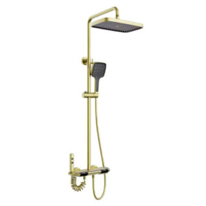 Four Function Shower Mixer