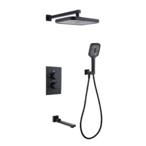 Four Function Shower Mixer