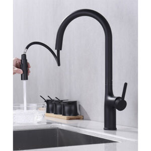 Kitchen Faucet